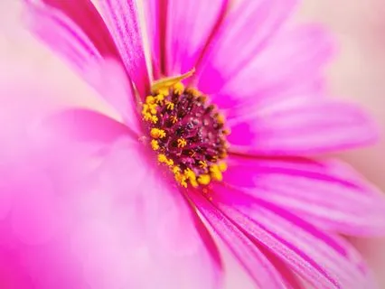 Sacred Mantra for Healing & Spiritual Awakening