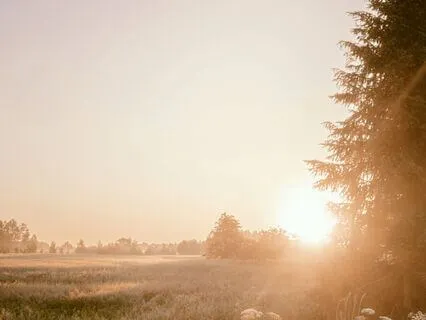 Sacred Morning