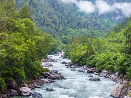 Sacred Mountain River: Singing Bowls & Water Resonance