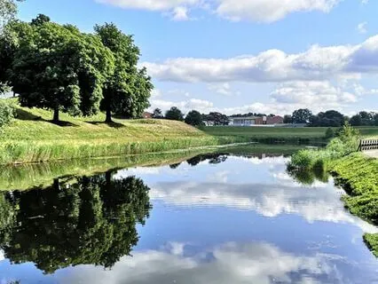 Sacred Pause: A Breath For Peace