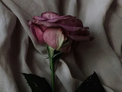 Connect To Your Gifts And Blessings.