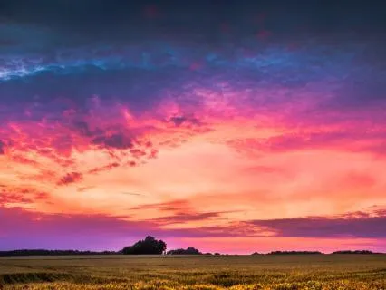 Sacred Pink Glow Touch Of The Supreme  Divine