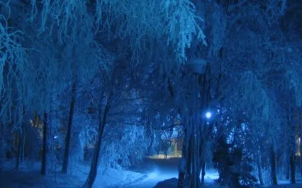 Sacred Rest Meditation