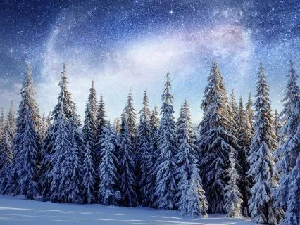 Sacred Rest ~ Winter Solstice Sleep Music & Nature Sounds
