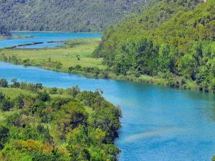 Sacred River Flow: Water Sounds for Presence & Clarity