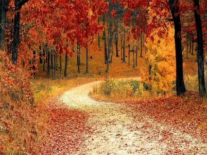 Sacred Sanctuary Meditation