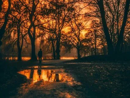 Sacred Serenade - Awakening The Soul's Essence