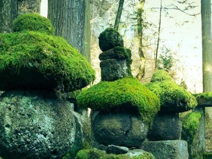 Sacred Sisterhood - Healing The Masculine Shadow