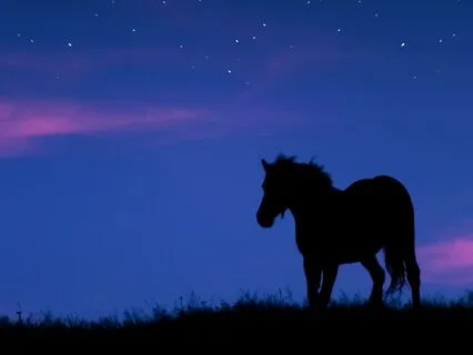 Sacred Sleep: 2 Hz Delta Waves For Deep Healing