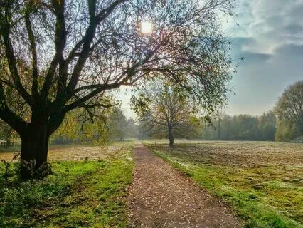 Sacred Sounds: A Shamanic Journey Of Ethereal Bliss