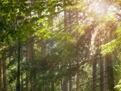 Sacred Space - Christian/LDS Meditation