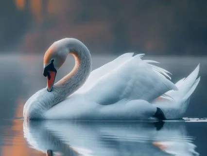Sacred Stillness Yoga Nidra