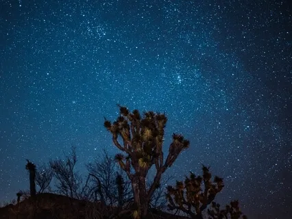 Sacred Time For Sleep (Extended Music)