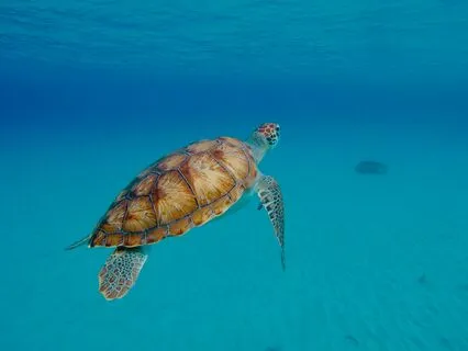 Sacred Time: The Pause Before Reacting