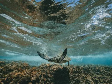 Sacred Time: The Pause Of Intuition