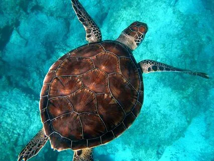 Sacred Time: The Pause Of Breath