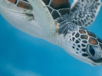 Sacred Time: The Power Of Silence