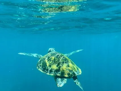 Sacred Time: The Pause To Reconnect