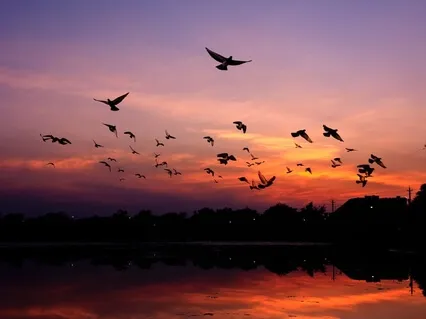 Sacred Union | Extended