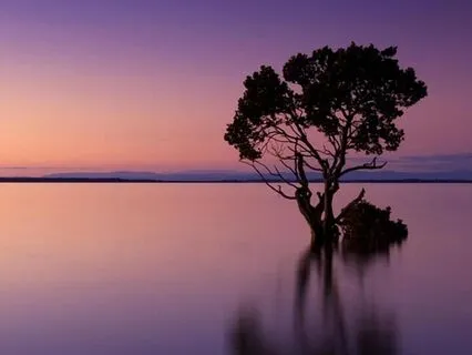 Sacred Union: Remembering Divine Love In The Body