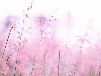 Sacred Union: Spiritual Connection Meditation