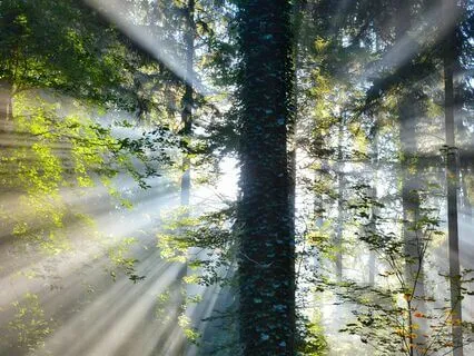 Sacred Vibration: Align With Inner Power