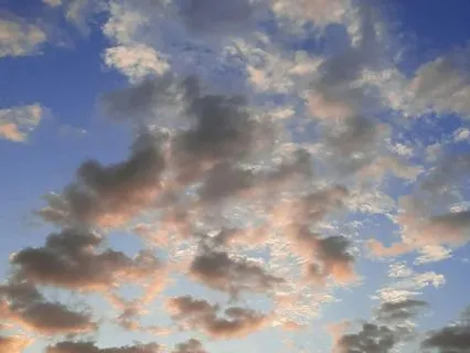 Sacred Vitality: Morning Grounding For Clarity & Alignment