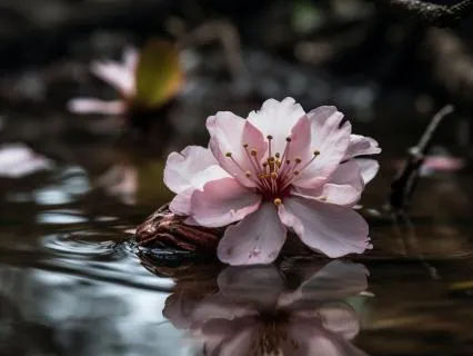 Sacred Worth: Self-Love & Inner Strength Affirmations