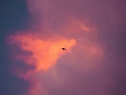 Sacredness | Rumi Poem