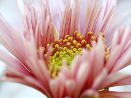 Sacral Chakra - Womb Temple Practice