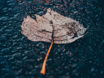 Sad Delight Melancholy Piano For Mood Enhancement