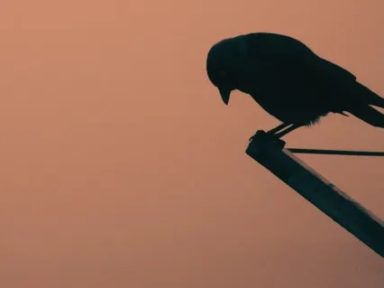 Sad Person IFS Guided Meditation