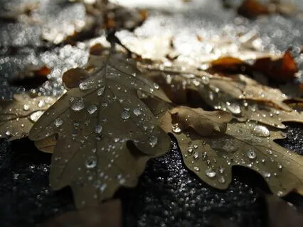 Sadness - A Mindful Jewish Moment