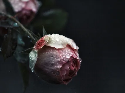 Sadness (Piano Music)