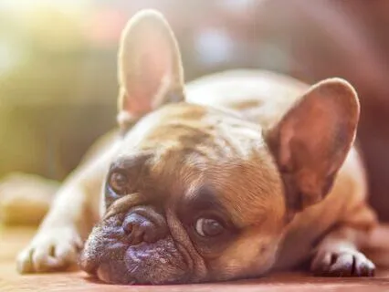 Sadness Sit: Let's Be Real