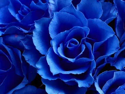 サードアイ(第六チャクラ:第三の目)のための瞑想用サウンド