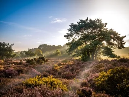 Safe & Free: Grounding Energy