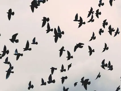 Safe And Protected Affirmations