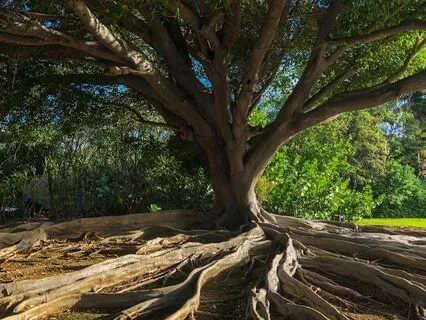 Safe & Grounded - Breathing Meditation