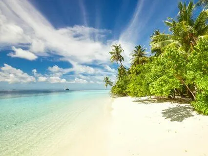 Safe Haven For Stress Reduction