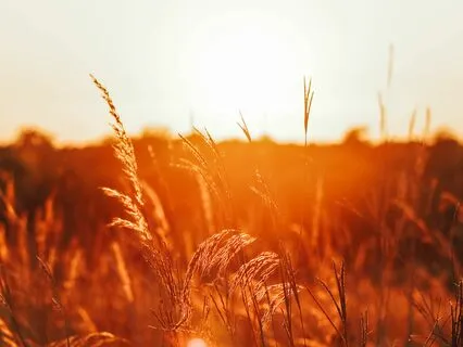 Safe Haven: Grounding For Anxiety Relief