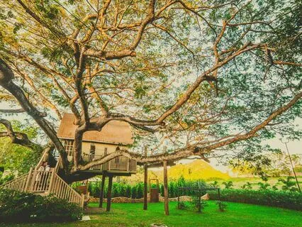 Safe Haven Meditation For Instant Anxiety And Stress Relief