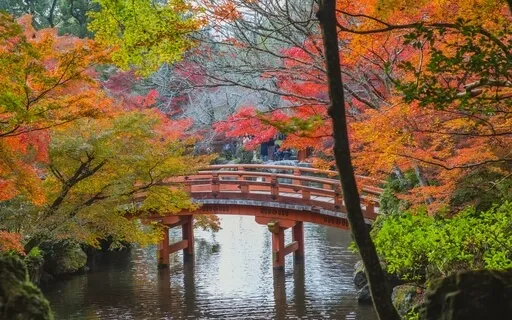 Safe Haven Of A Dream