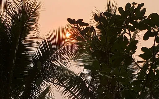 Safe In The Warmth Of Sound - Wonderful Soothing Sounds