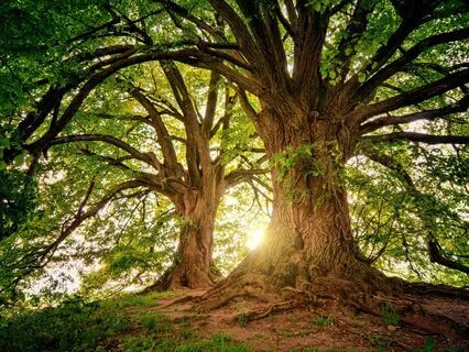 Safe Or Comfortable Place For Anxiety Or Depression