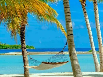 Safe Place Meditation For Calming The Nervous System