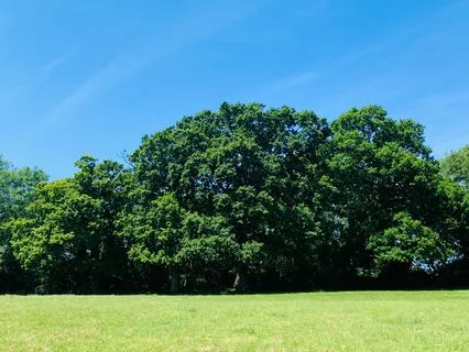 Safe Place Meditation For Drifting Off To Sleep For Children