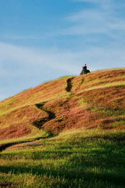 Safe Place Visualization