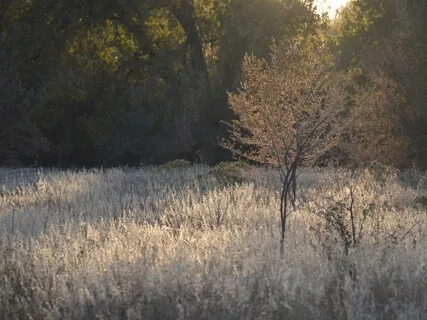 Safe Space Exploration