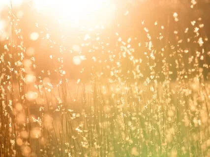 Safe Space Meditation